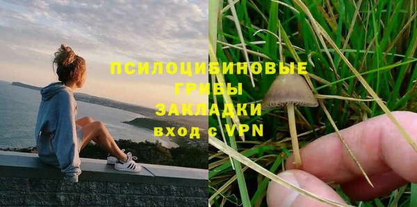 дурь Алексеевка