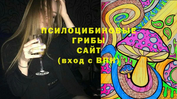 синтетический гашиш Алексин