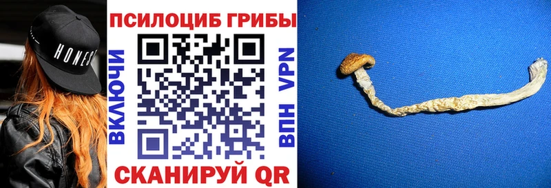 MEGA ссылки  Николаевск-на-Амуре  Галлюциногенные грибы мицелий  продажа наркотиков 